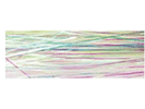 H005