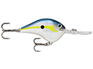 HELSINKI SHAD