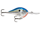 BLUE SHAD