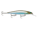MOSS BACK SHINER