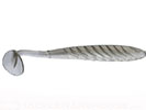 TENNESSEE SHAD