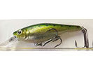 BABY BASS