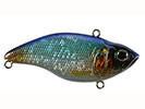 BLUE SHINER