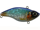BLUE SHINER