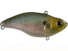 SPOOKY SHAD