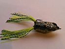 SWAMP FROG