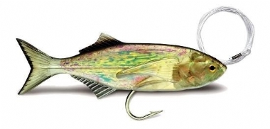 BLUEFISH