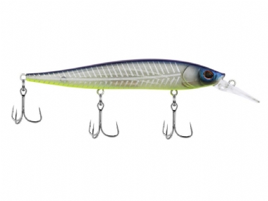 SHAD FILLET