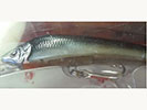 SEBILE KOOLIE MINNOW 160MM