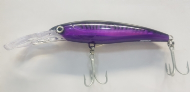 PURPLE MACKEREL 