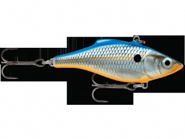 BLUE SHAD