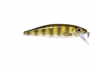 LIVE PERCH