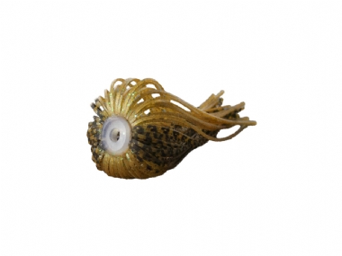 SENSATION SPINNERBAIT SKIRTS
