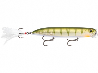 YELLOW PERCH (YP)