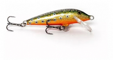 BROOK TROUT