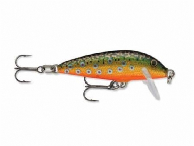 BROOK TROUT