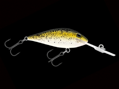 MUSTARD GRUNTER (R17)