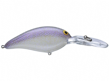 LAVENDER SHAD