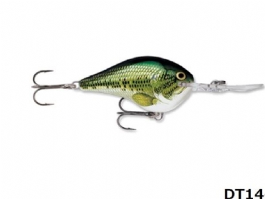 BABY BASS