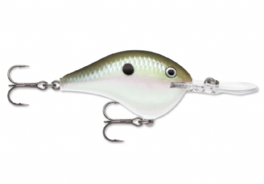 GREEN GIZZARD SHAD
