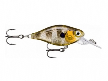 GLASSY GIL UV
