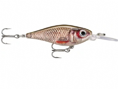 LIVE ROACH (ROL)