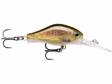 LIVE BROWN TROUT