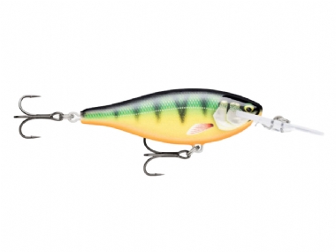GILDED PERCH (GDP)