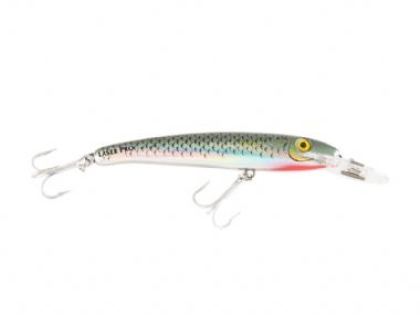MULLET 1059