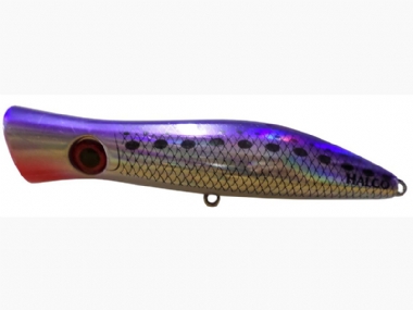 PURPLE PILCHARD (1039)