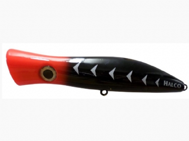 BLOOD NUT (H65)