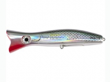 SILVER (R25)