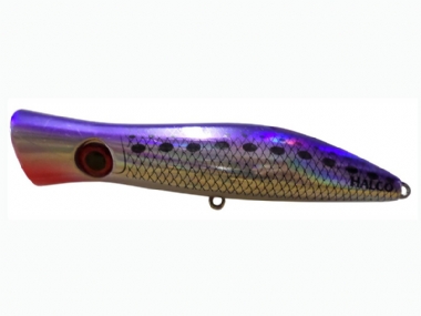 PURPLE PILCHARD (1039)