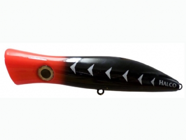 BLOOD NUT (H65)