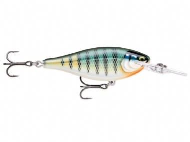 GILDED BLUE GILL (GDBG)