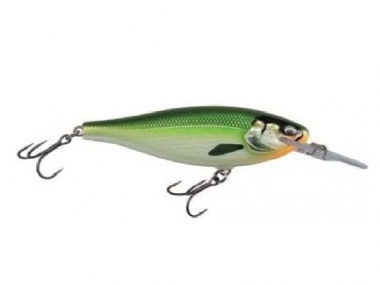 GILDED TURTLE POP (GDTP)
