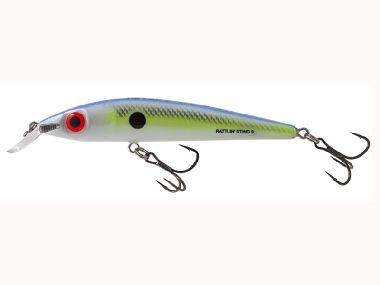 SEXY SHAD
