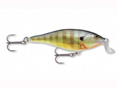 BLUEGILL