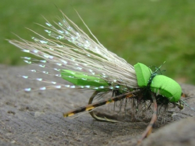 LIME