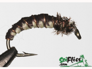 SCIENTIFIC FLIES IL LARVA 
