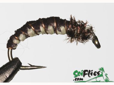 SCIENTIFIC FLIES IL LARVA 