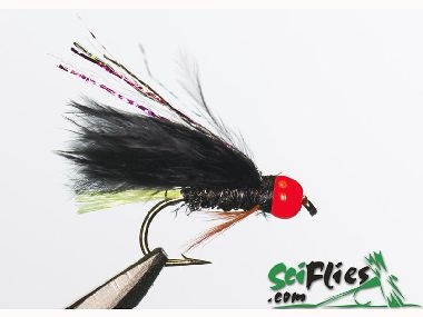 SCIENTIFIC FLY RAINBOW WARRIOR