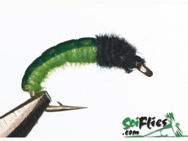 SCIENTIFIC FLIES GREEN ROCK WORM