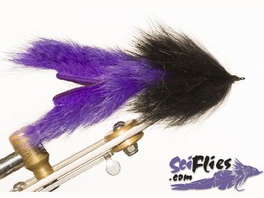 SCIENTIFIC FLIES JM PLATANA