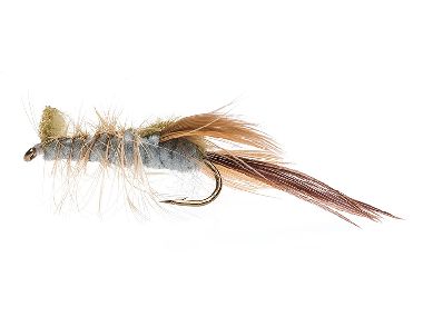 SCIENTIFIC FLIES STIMULATOR