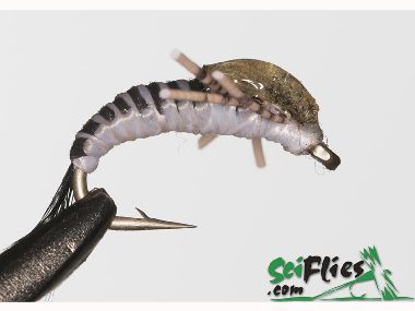 SCIENTIFIC FLIES WOVEN NYMPH
