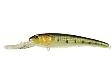 SALTWATER FISHING LURES