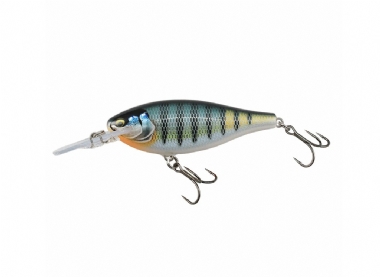 GILDED BLUE GILL (GDBG)