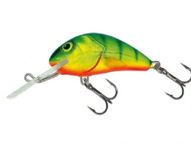 PERCH