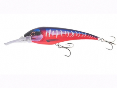 HOT PINK MACKEREL